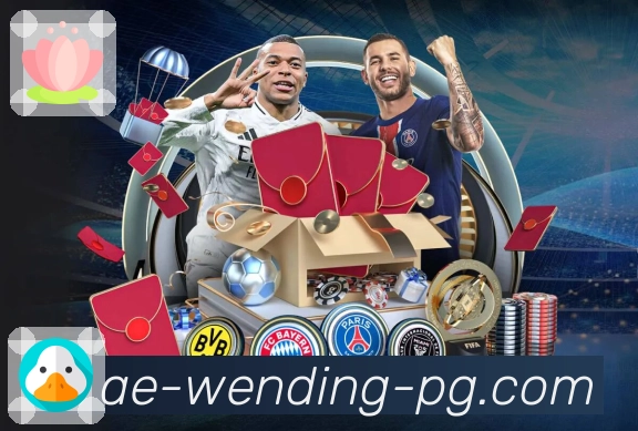 稳定入口登录器